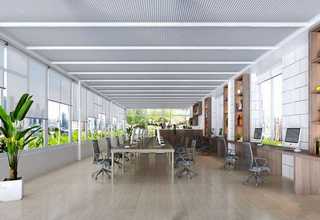 江苏全新植物消毒液质量保证