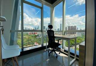 长山新品绿植租赁价格优惠