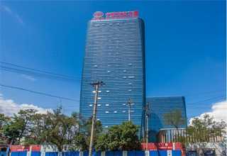 长宁区园林绿植花卉租赁租摆